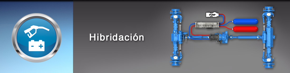 Hibridación